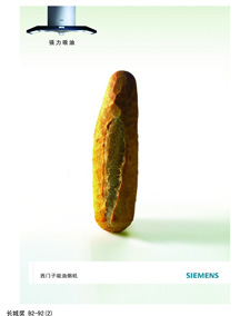 第十六届中国国际广告节长城奖平面铜奖