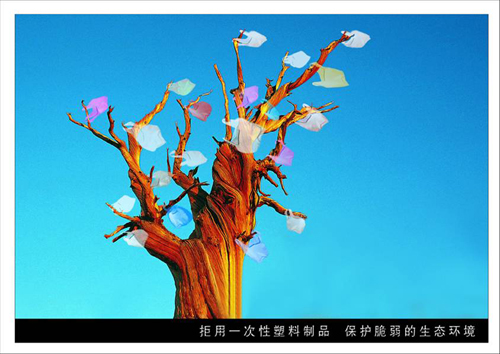 移动杯“2006保定广告年评优活动优秀作品（平面广告）